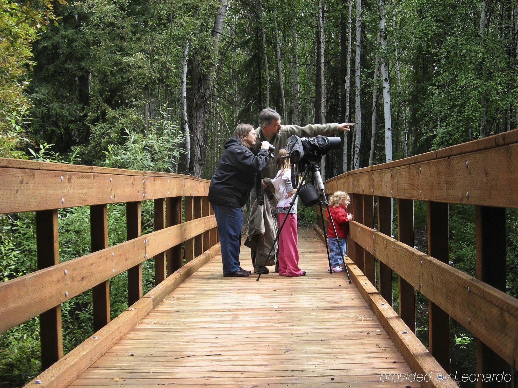 Bear Lodge Fairbanks Exteriér fotografie